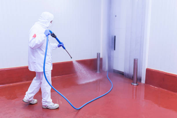 Best Building Exterior Pressure Washing in Oakland Park, FL